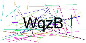 Verificação para Humanos