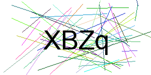 Verificação para Humanos