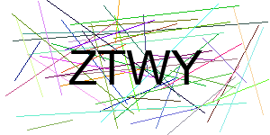 Verificação para Humanos