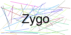 Verificação para Humanos