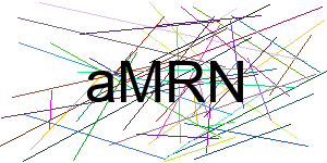 Verificação para Humanos