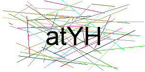 Verificação para Humanos