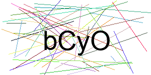 Verificação para Humanos