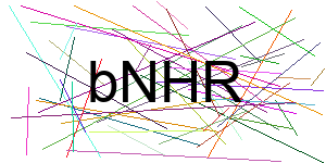 Verificação para Humanos