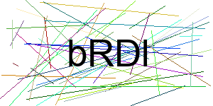 Verificação para Humanos