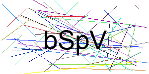 Verificação para Humanos