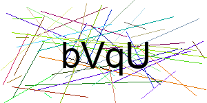 Verificação para Humanos