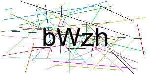 Verificação para Humanos