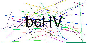 Verificação para Humanos