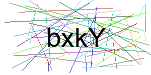 Verificação para Humanos