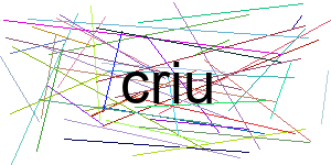 Verificação para Humanos