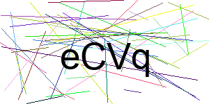 Verificação para Humanos