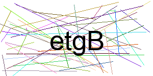 Verificação para Humanos