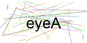 Verificação para Humanos