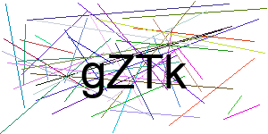 Verificação para Humanos