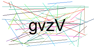 Verificação para Humanos