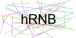 Verificação para Humanos