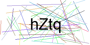 Verificação para Humanos