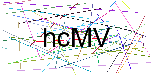 Verificação para Humanos