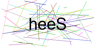 Verificação para Humanos