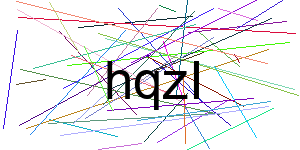 Verificação para Humanos