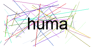 Verificação para Humanos