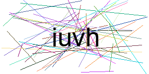 Verificação para Humanos