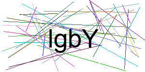 Verificação para Humanos