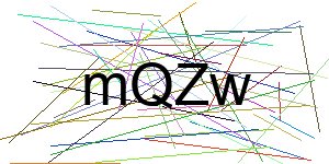 Verificação para Humanos