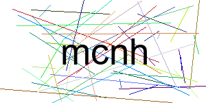 Verificação para Humanos