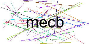 Verificação para Humanos