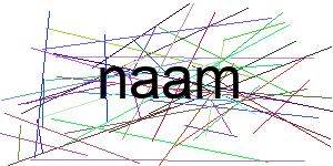 Verificação para Humanos