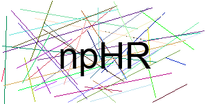 Verificação para Humanos