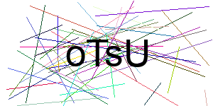 Verificação para Humanos