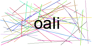 Verificação para Humanos