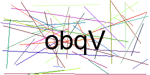 Verificação para Humanos