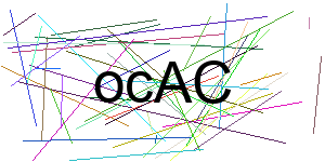 Verificação para Humanos