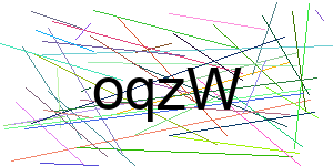 Verificação para Humanos