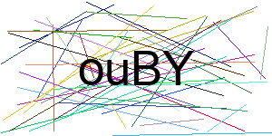 Verificação para Humanos