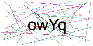 Verificação para Humanos