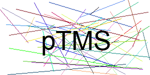 Verificação para Humanos