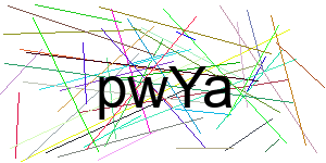 Verificação para Humanos