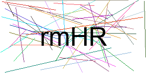 Verificação para Humanos