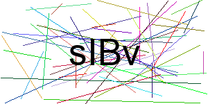 Verificação para Humanos
