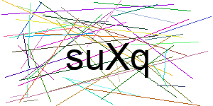 Verificação para Humanos