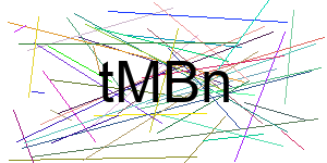 Verificação para Humanos