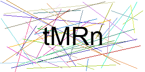 Verificação para Humanos