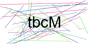 Verificação para Humanos