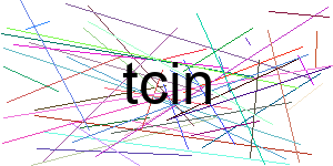 Verificação para Humanos