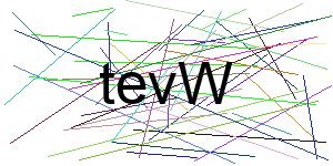 Verificação para Humanos